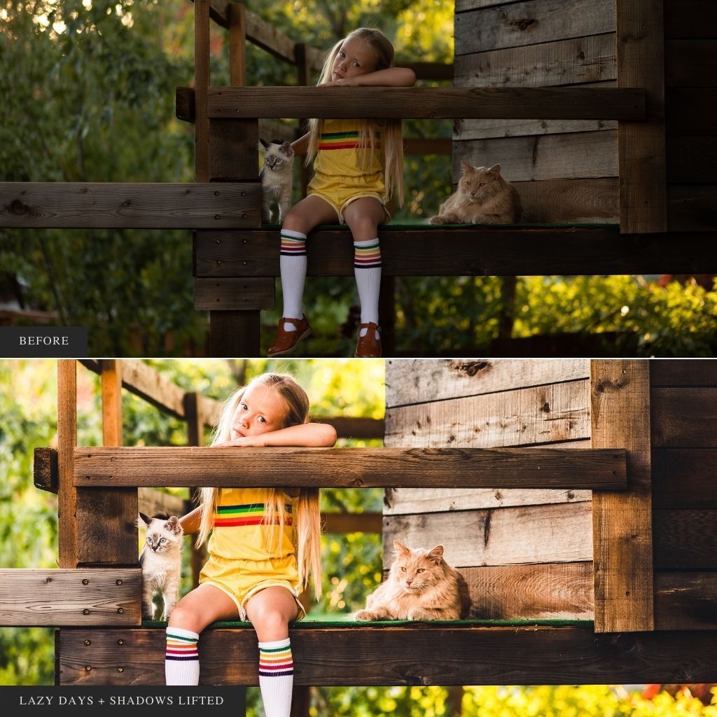 ColorMade Lightroom Preset Bundle (19 collections)