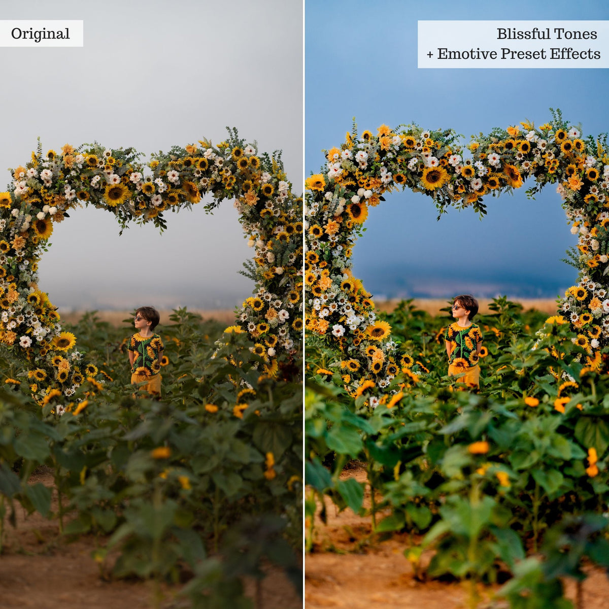 Emotive Lightroom Presets & AI Powered Tools – Desktop & Mobile