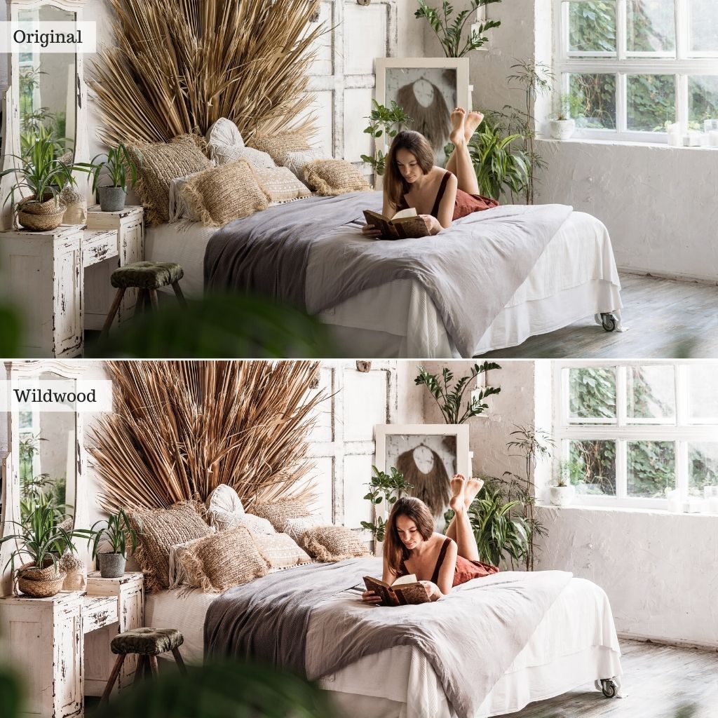 Luxe Instagram Preset Bundle (34 collections) for Lightroom Mobile & Desktop