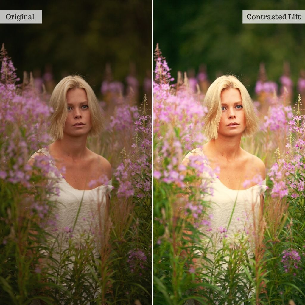 Skin LUTs & Lightroom Profiles – Desktop & Mobile