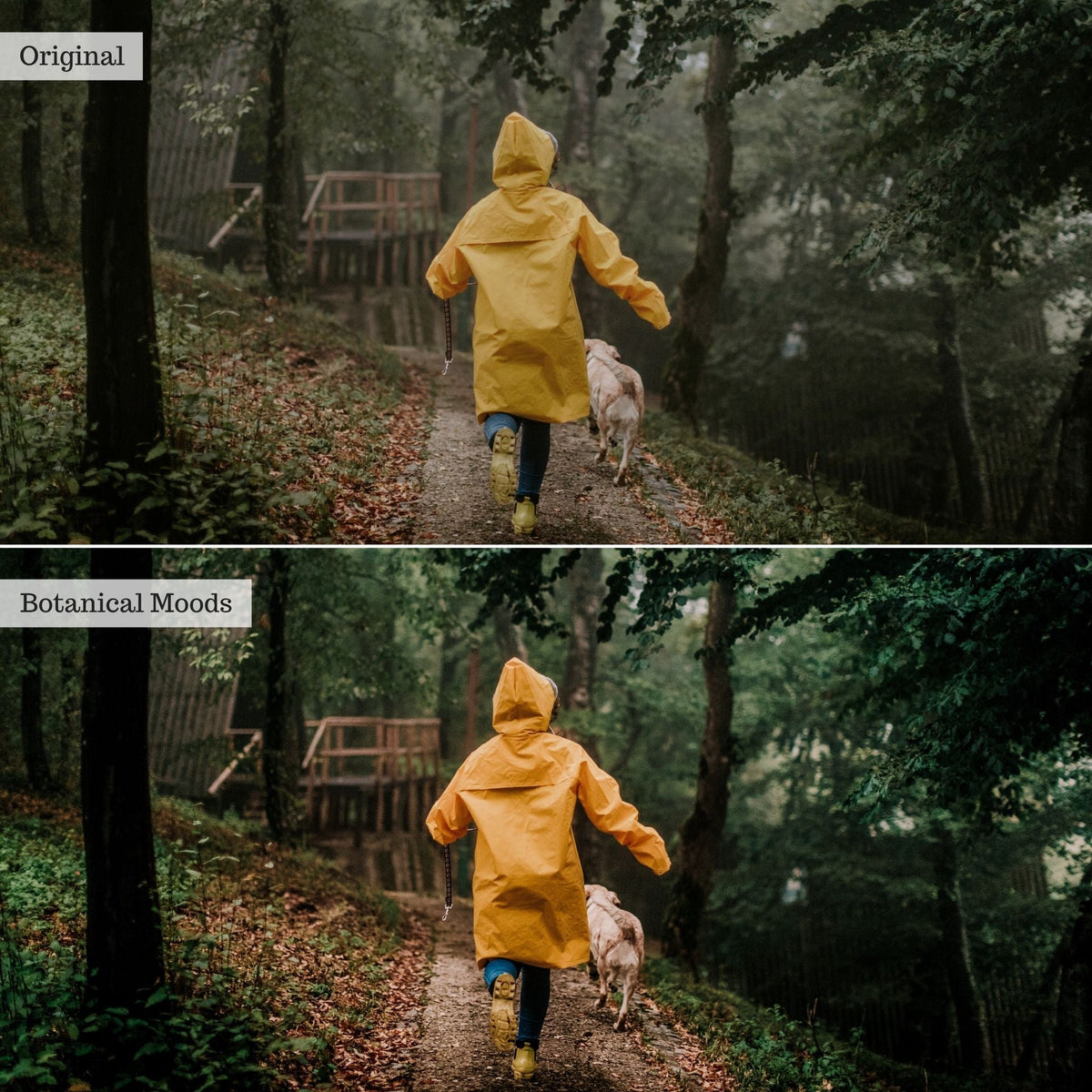 Botanical Moods Instagram Presets for Lightroom Mobile & Desktop