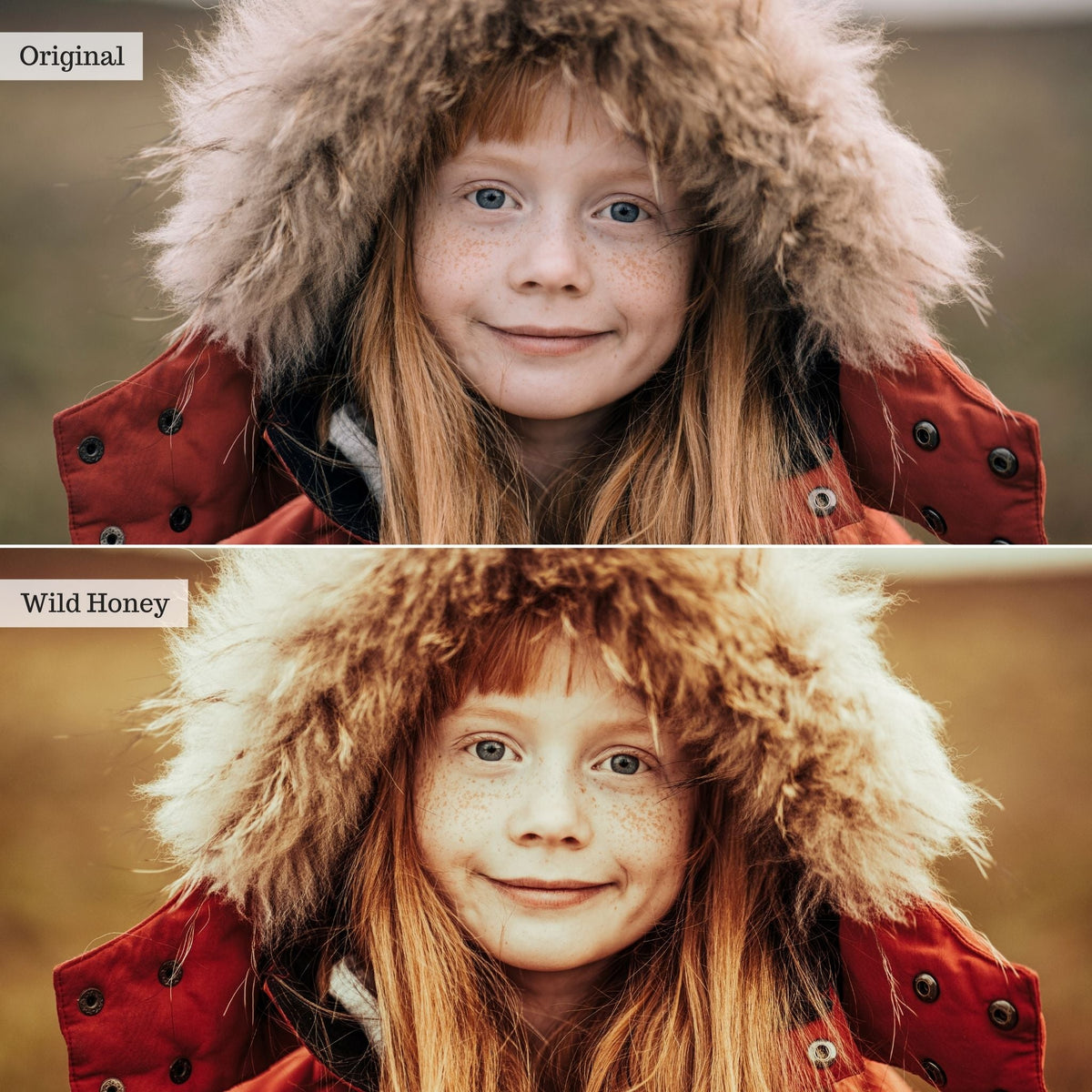 Wild Honey Instagram Presets for Lightroom Mobile & Desktop
