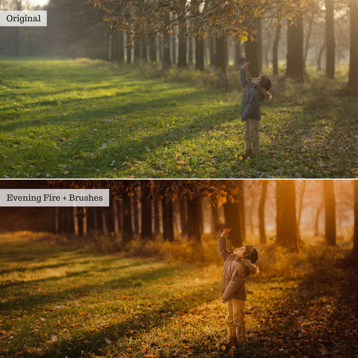 Luxe Golden Hour Lightroom Presets – Desktop & Mobile
