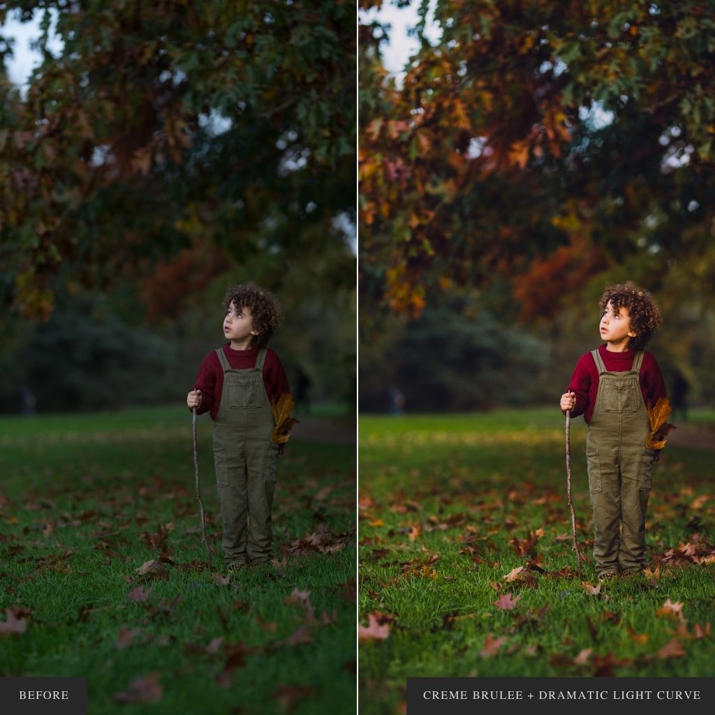 ColorMade Lightroom Preset Bundle (19 collections)