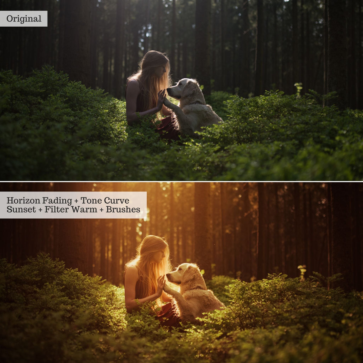 Luxe Golden Hour Lightroom Presets – Desktop & Mobile