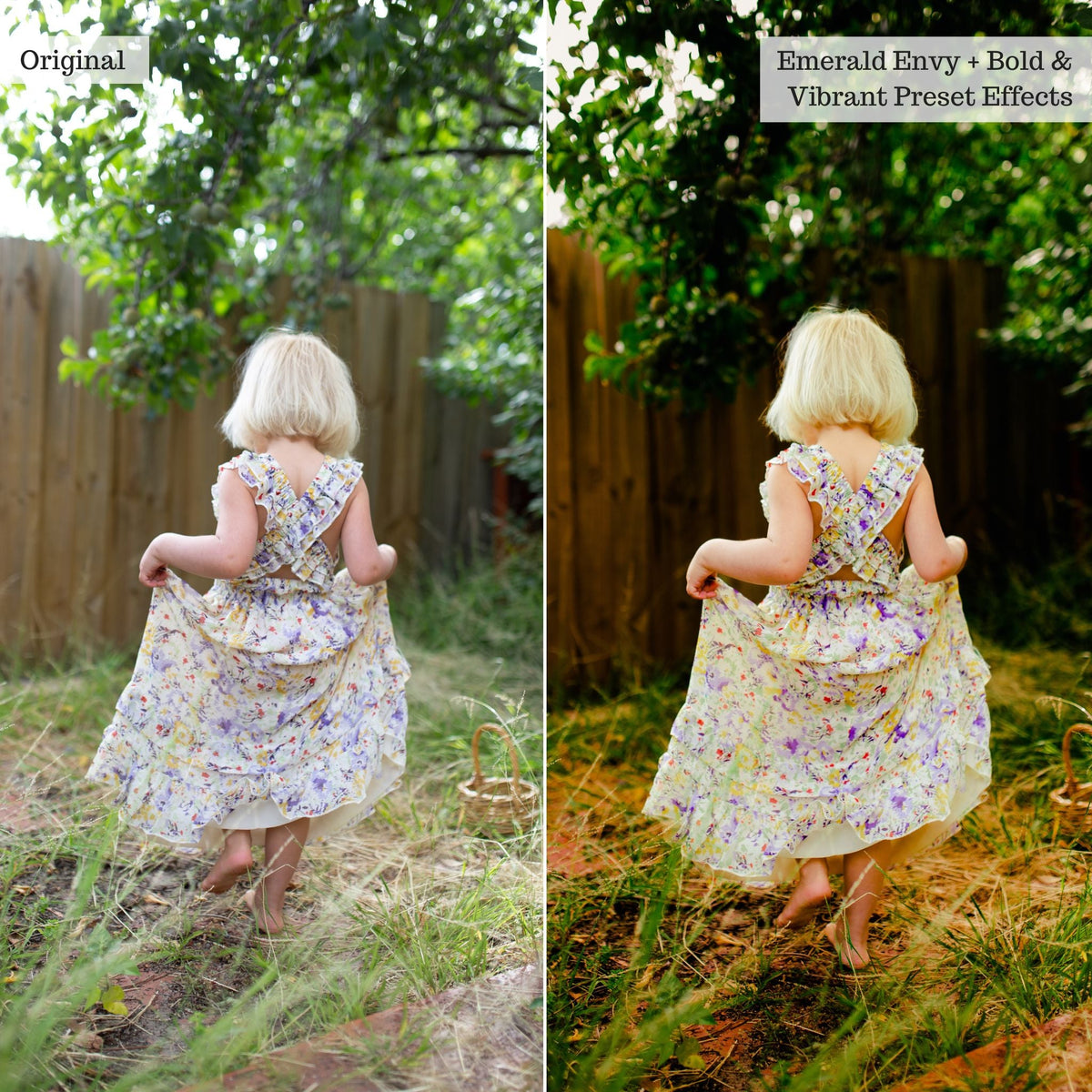 Bold & Vibrant 2.0 Lightroom Presets & AI Powered Tools – Desktop & Mobile