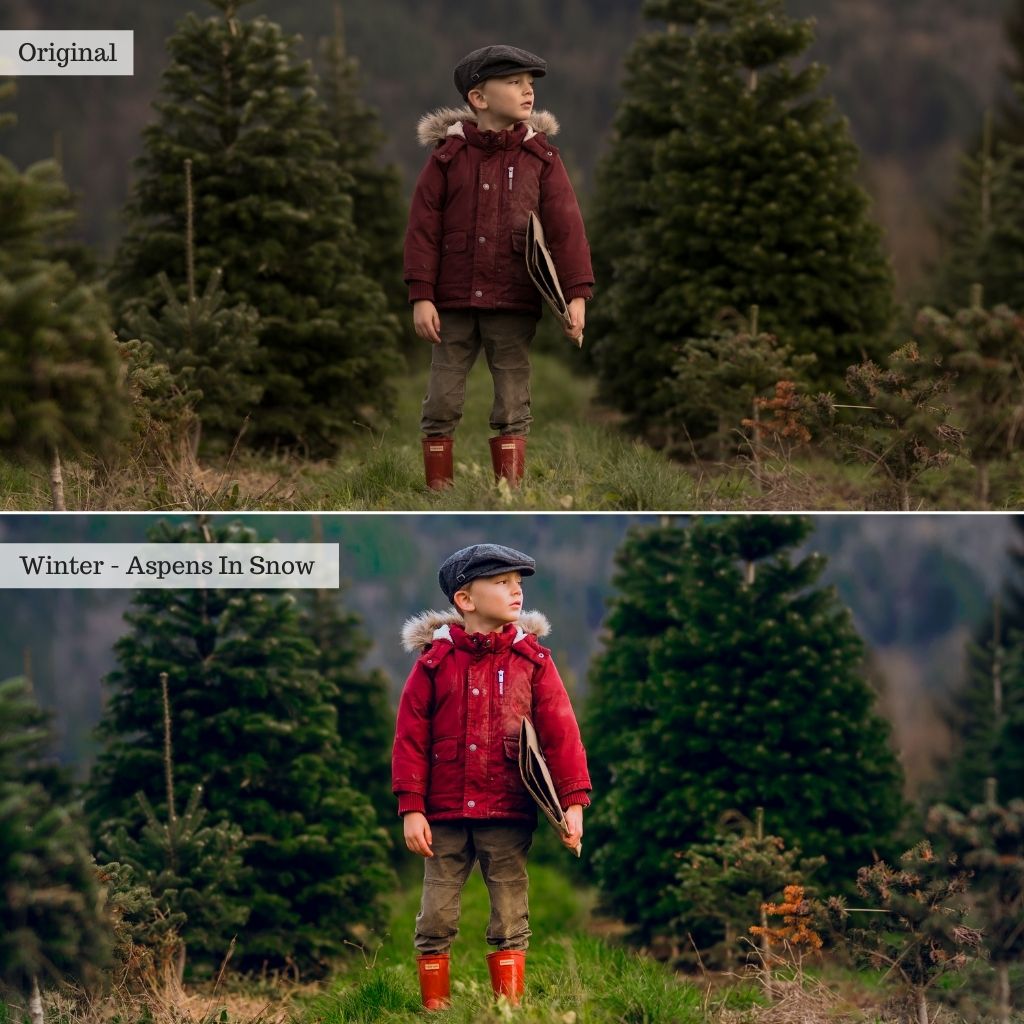 Essentials Lightroom Presets & AI Tools v2.0 – Desktop & Mobile