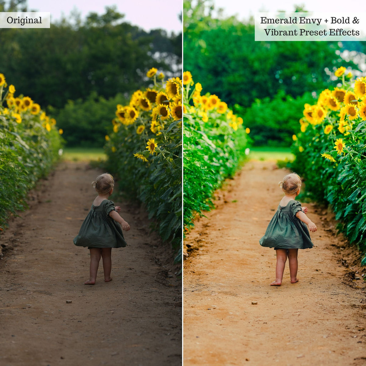Bold & Vibrant 2.0 Lightroom Presets & AI Powered Tools – Desktop & Mobile