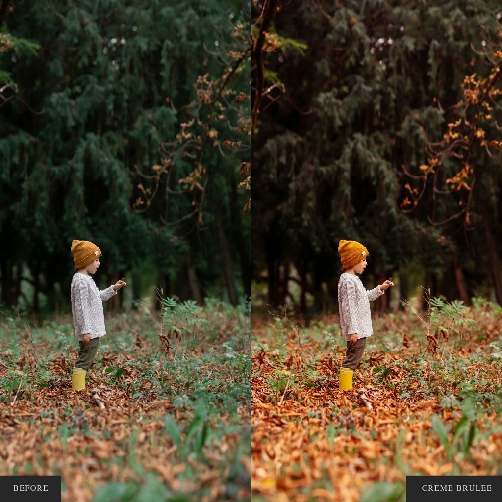 ColorMade Lightroom Preset Bundle (19 collections)