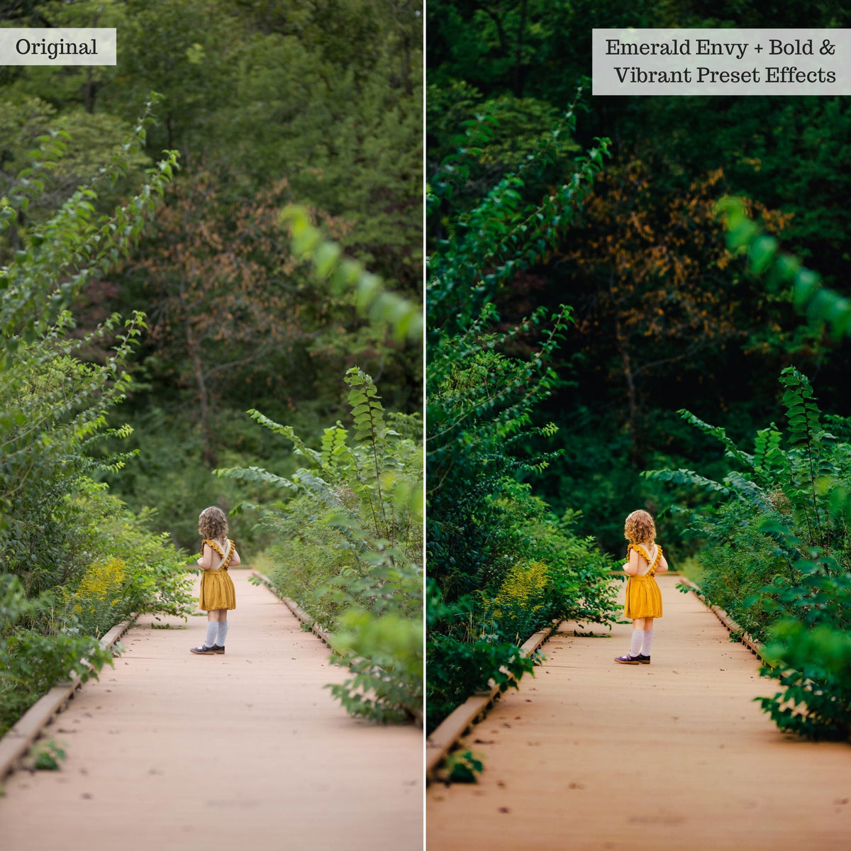 Bold & Vibrant 2.0 Lightroom Presets & AI Powered Tools – Desktop & Mobile
