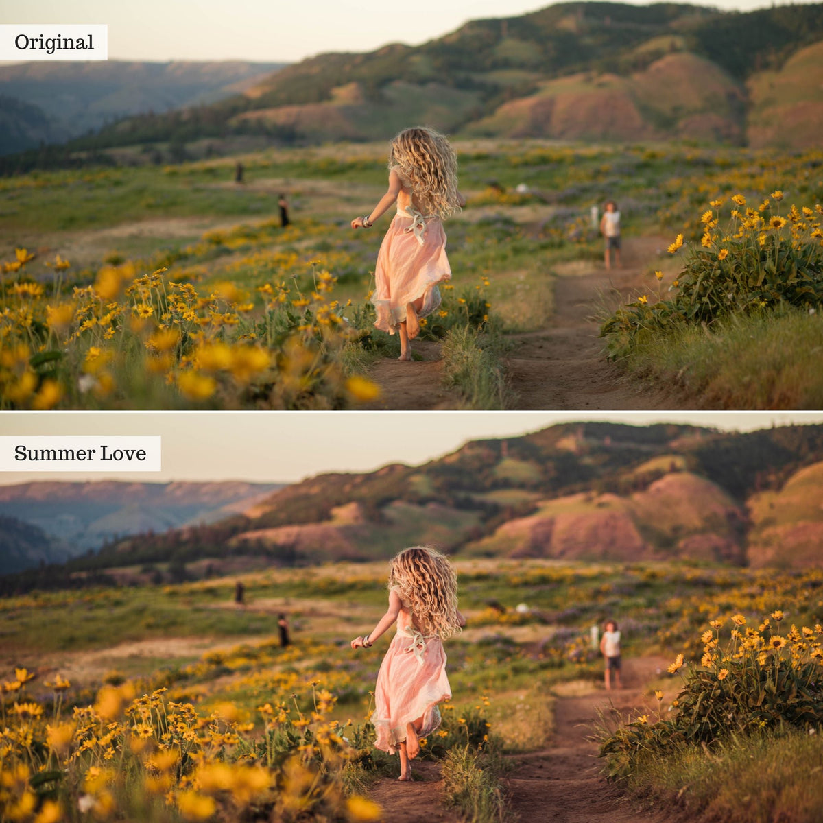 Clover n' Honey Spring & Summer Lightroom Presets – Desktop & Mobile