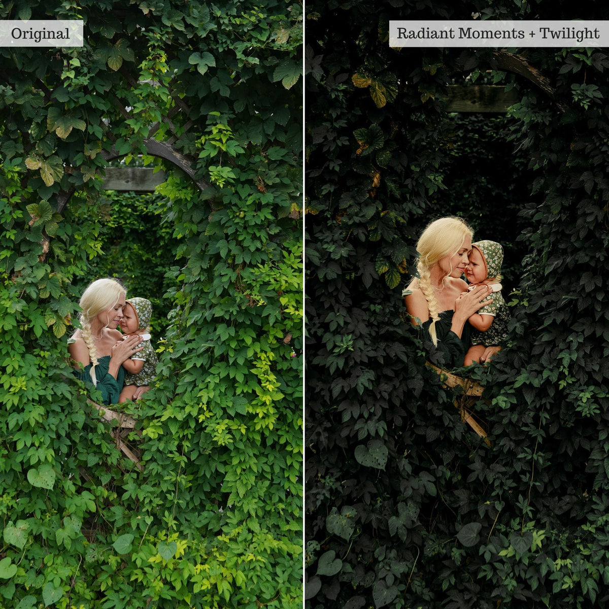 Earthy Moods 2.0 Lightroom Presets & AI Powered Tools – Desktop & Mobile