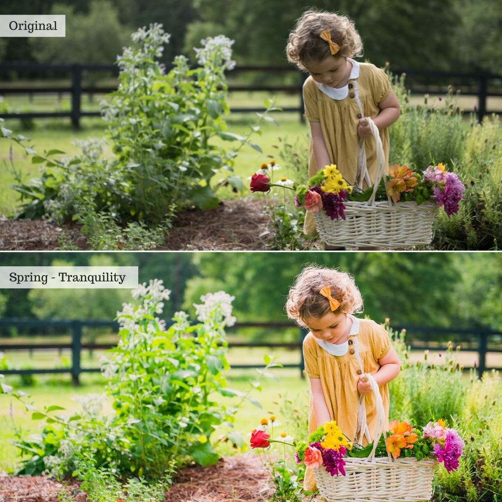 Essentials Lightroom Presets & AI Tools v2.0 – Desktop & Mobile