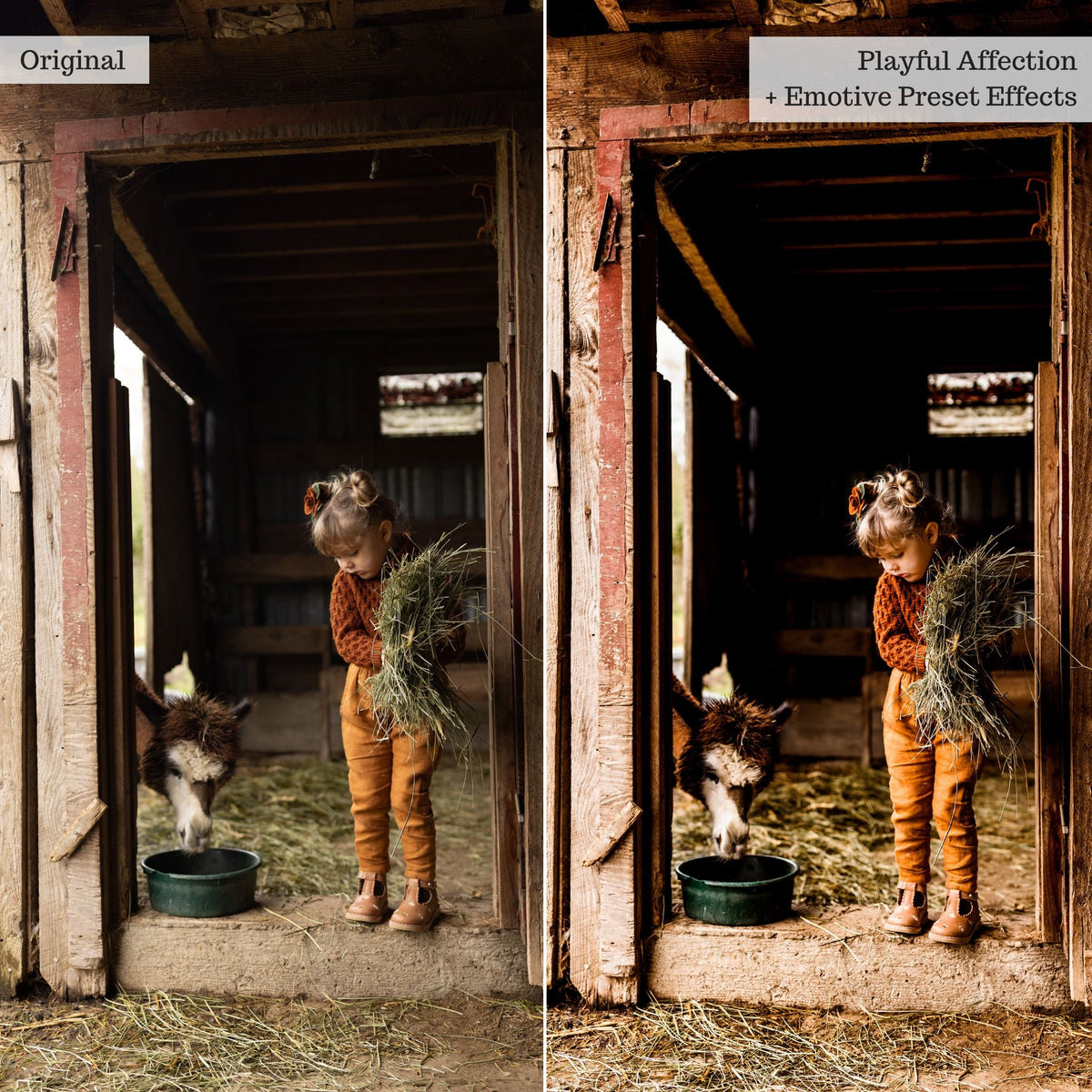 Emotive Lightroom Presets & AI Powered Tools – Desktop & Mobile