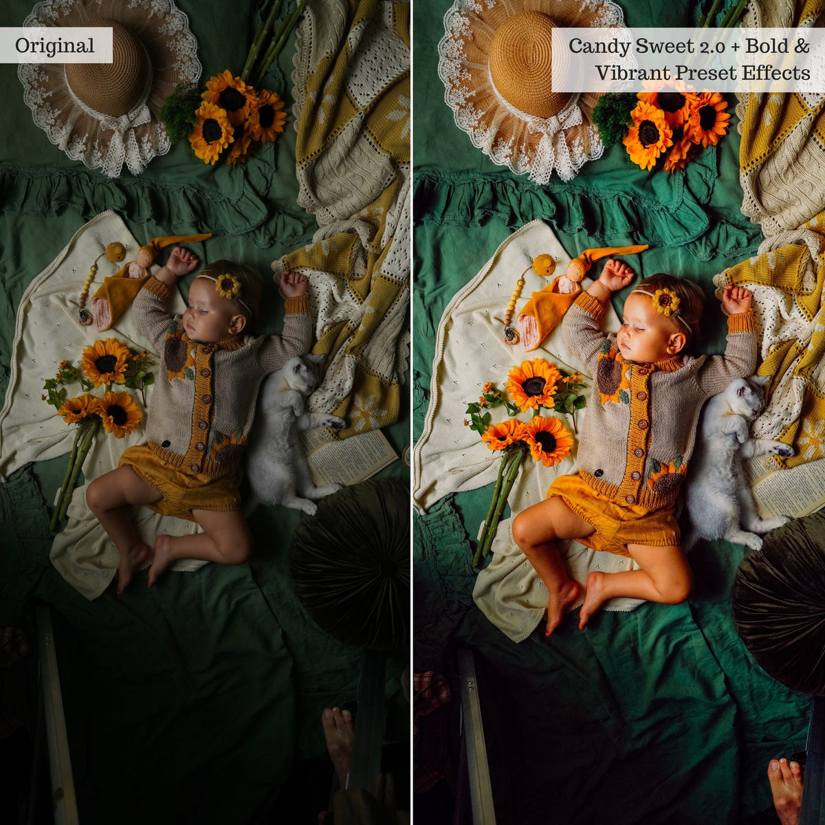 Bold & Vibrant 2.0 Lightroom Presets & AI Powered Tools – Desktop & Mobile