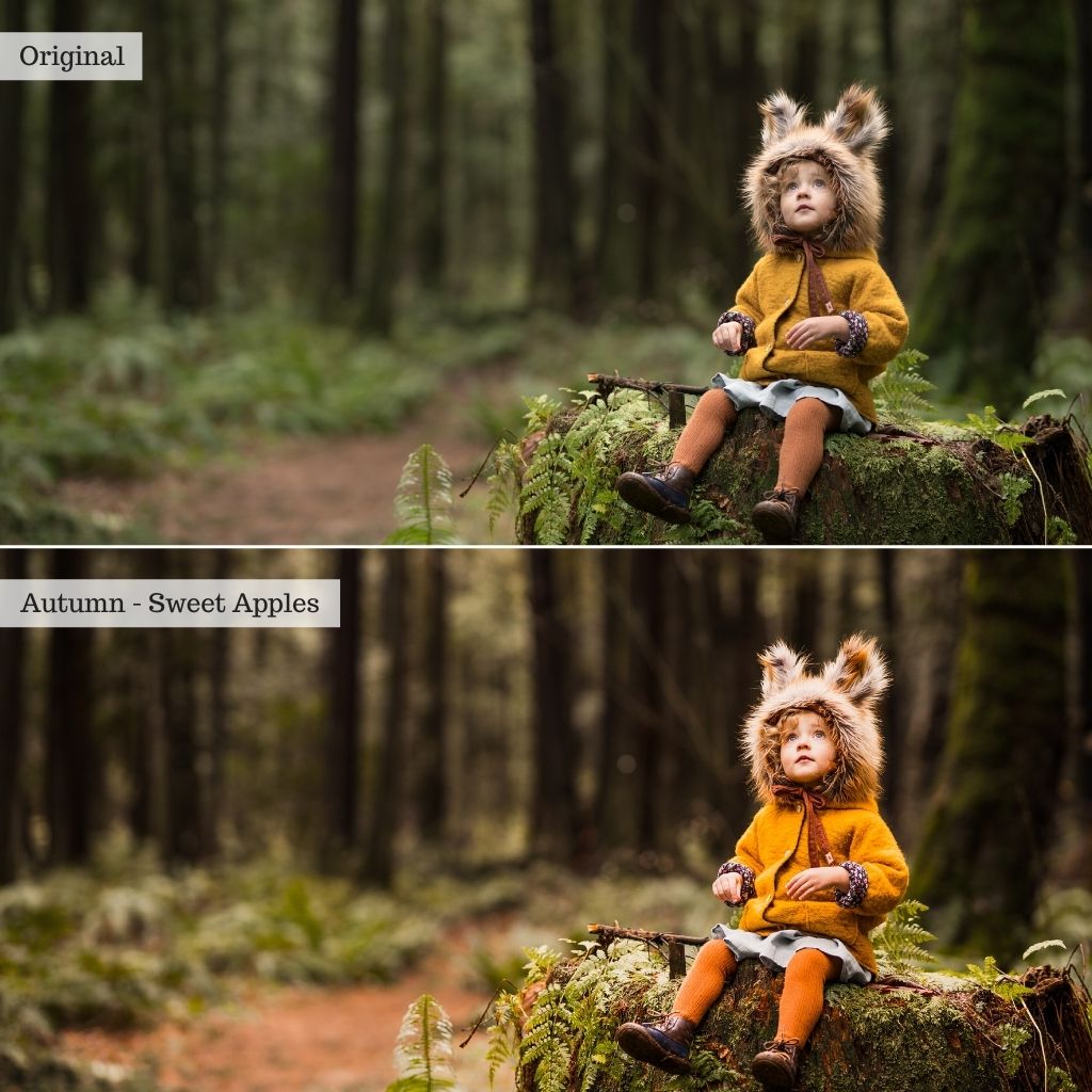 Essentials Lightroom Presets & AI Tools v2.0 – Desktop & Mobile