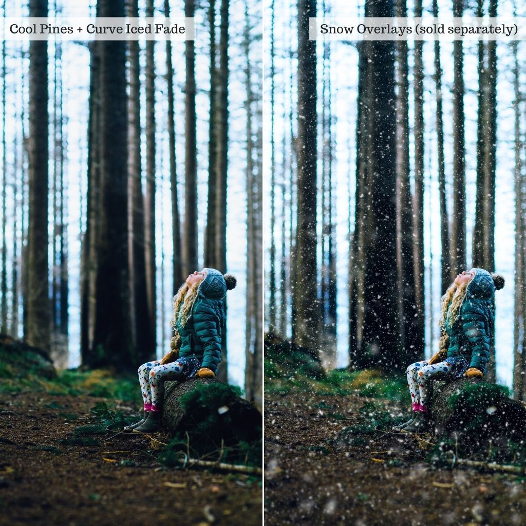 Log Cabin - Winter Lightroom Presets – Desktop & Mobile