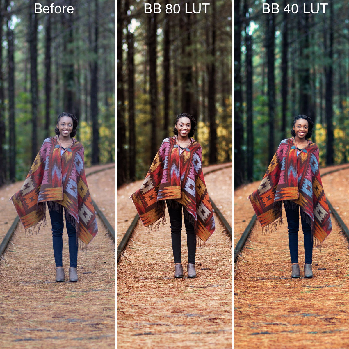 Luxe LUTs Bundle (8 Collections) – Desktop & Mobile