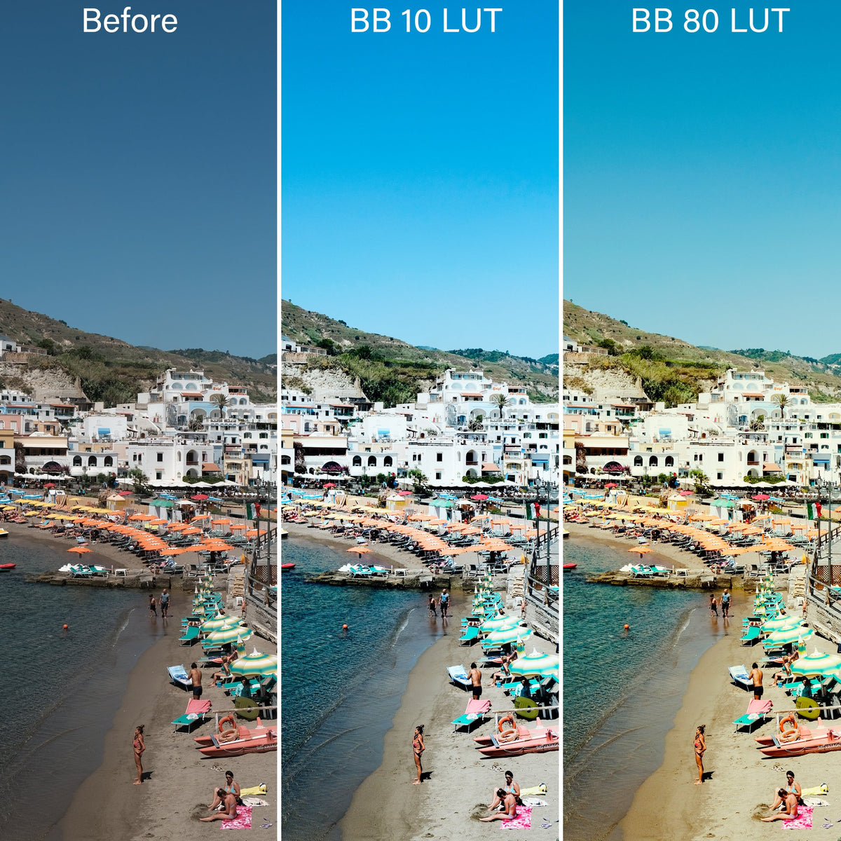 Luxe LUTs Bundle (8 Collections) – Desktop & Mobile