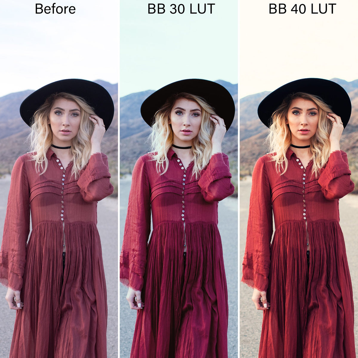 Luxe LUTs Bundle (8 Collections) – Desktop & Mobile