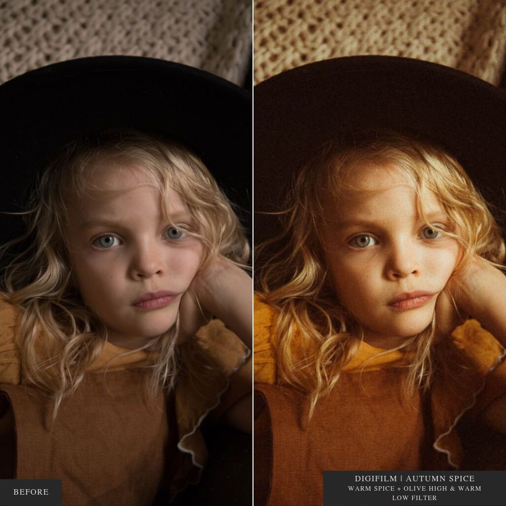 ColorMade Lightroom Preset Bundle (19 collections)