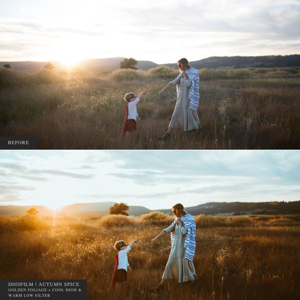 ColorMade Lightroom Preset Bundle (19 collections)