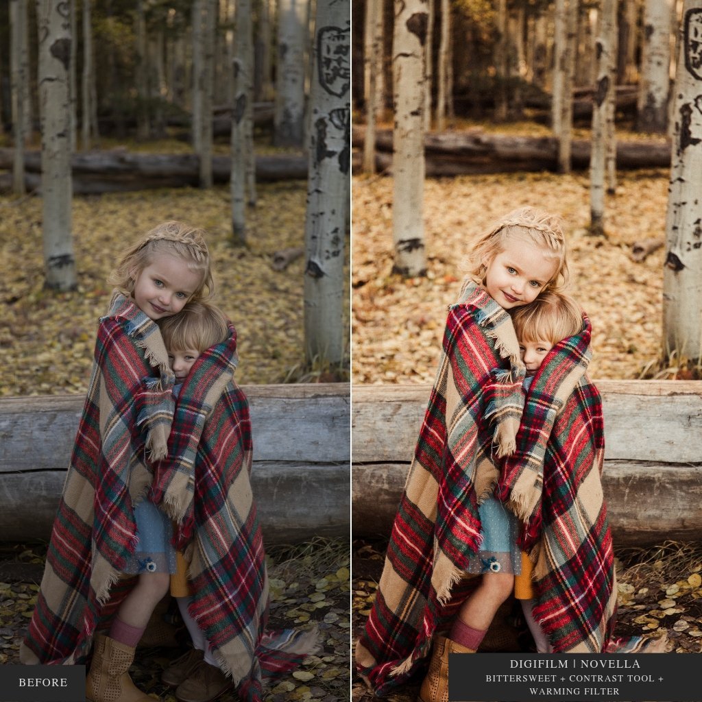 ColorMade Lightroom Preset Bundle (19 collections)