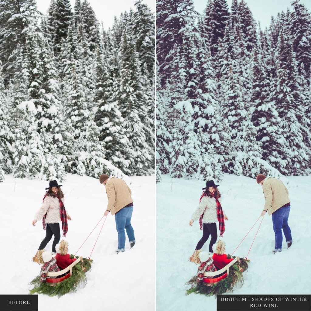 ColorMade Lightroom Preset Bundle (19 collections)