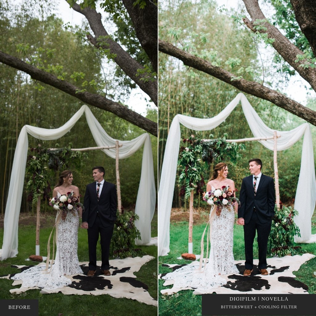 DigiFilm | Novella Lightroom Presets for Mobile & Desktop