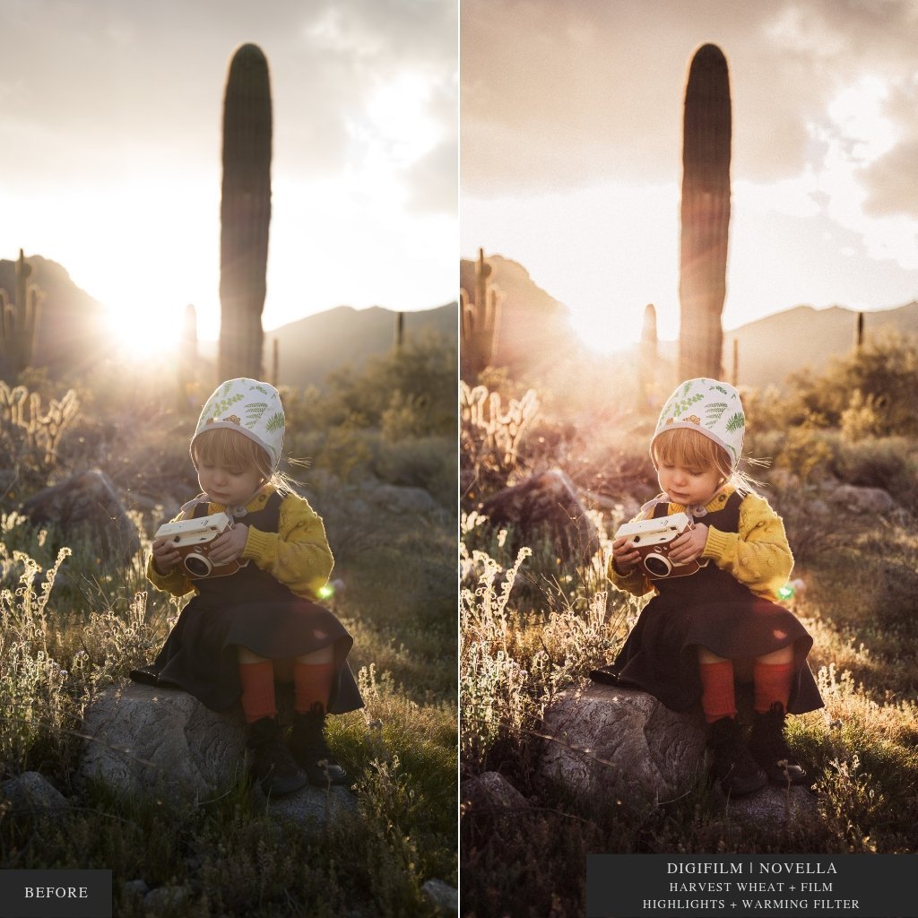 DigiFilm | Novella Lightroom Presets for Mobile & Desktop