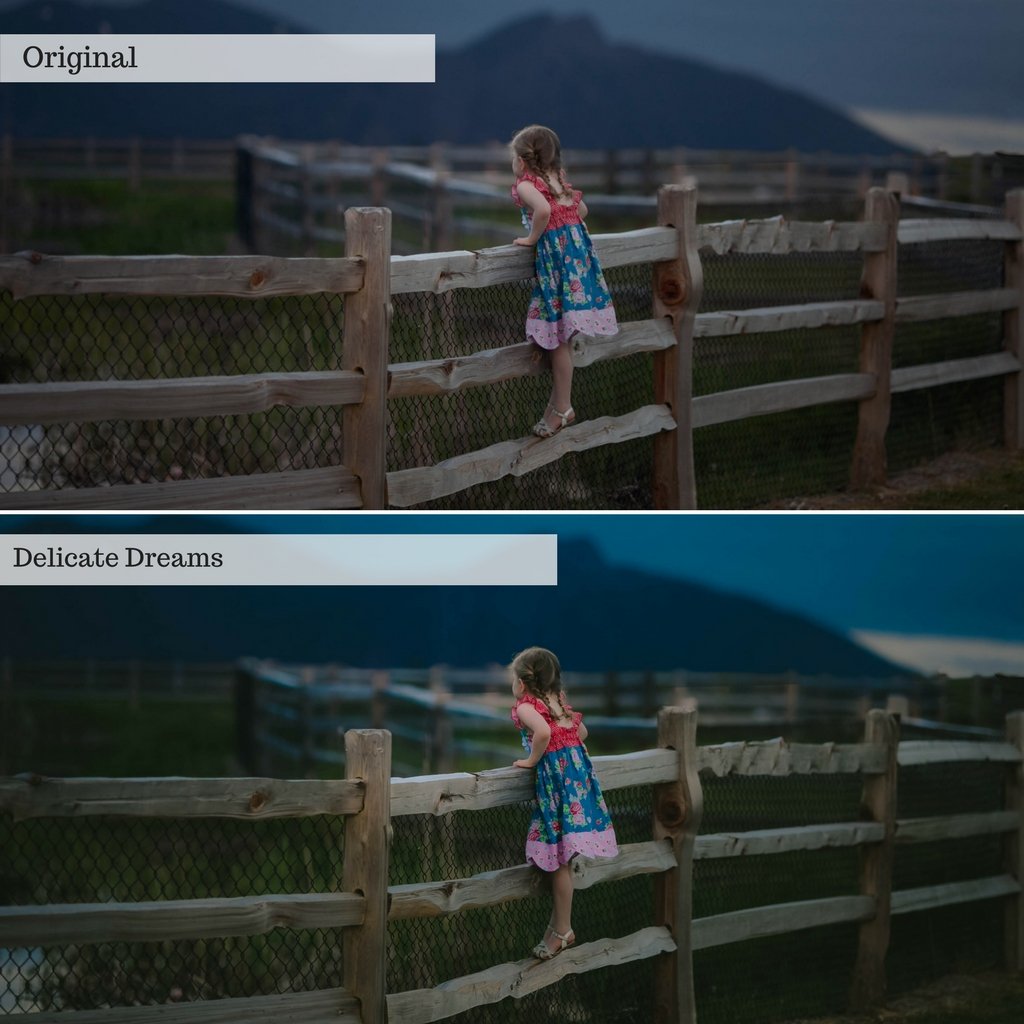 2025 Everything, Entire Store Lightroom Preset Bundle (108 Collections!)