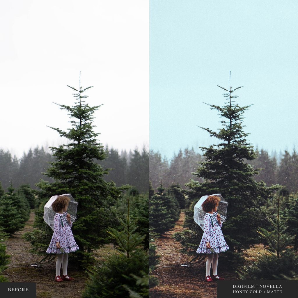 DigiFilm | Novella Lightroom Presets for Mobile & Desktop