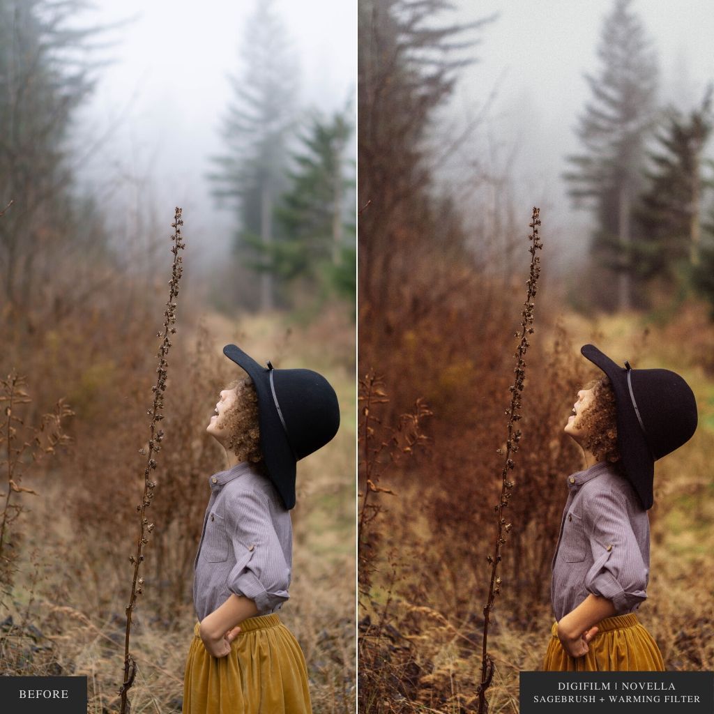 DigiFilm | Novella Lightroom Presets for Mobile & Desktop