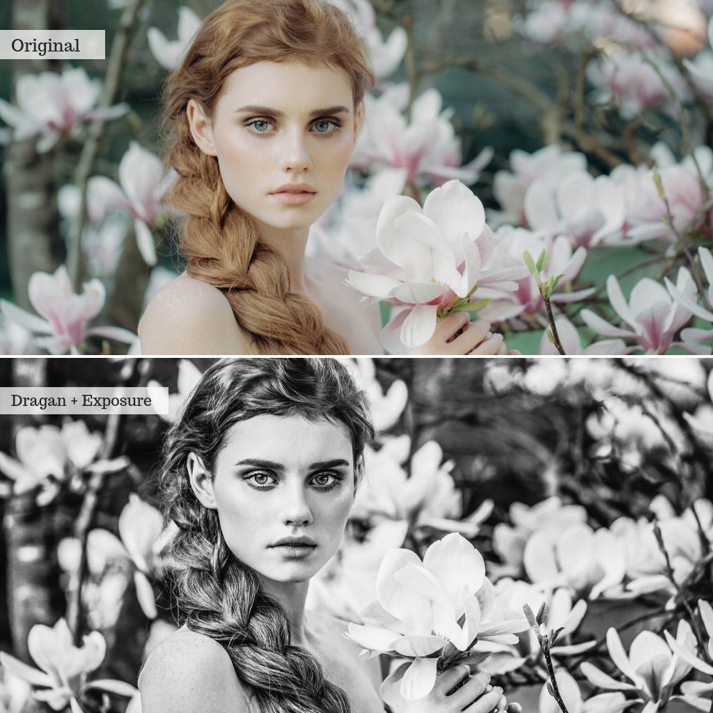 Black & White Lightroom Presets – Desktop & Mobile