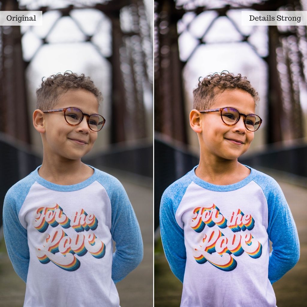 2025 Everything, Entire Store Lightroom Preset Bundle (108 Collections!)