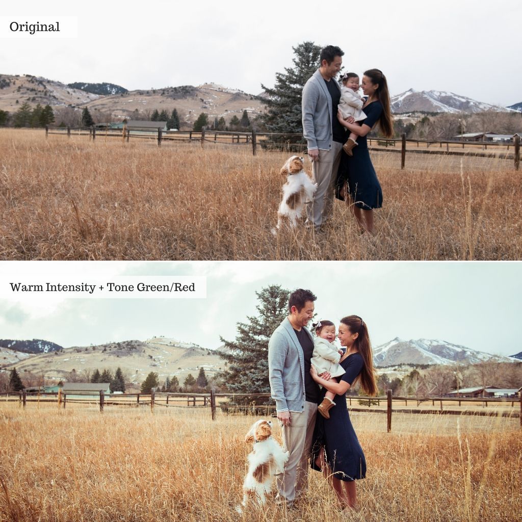 Luxe Preset Bundle (38 collections) for Lightroom & Photoshop – Desktop & Mobile