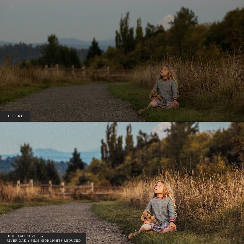DigiFilm | Novella Lightroom Presets for Mobile & Desktop