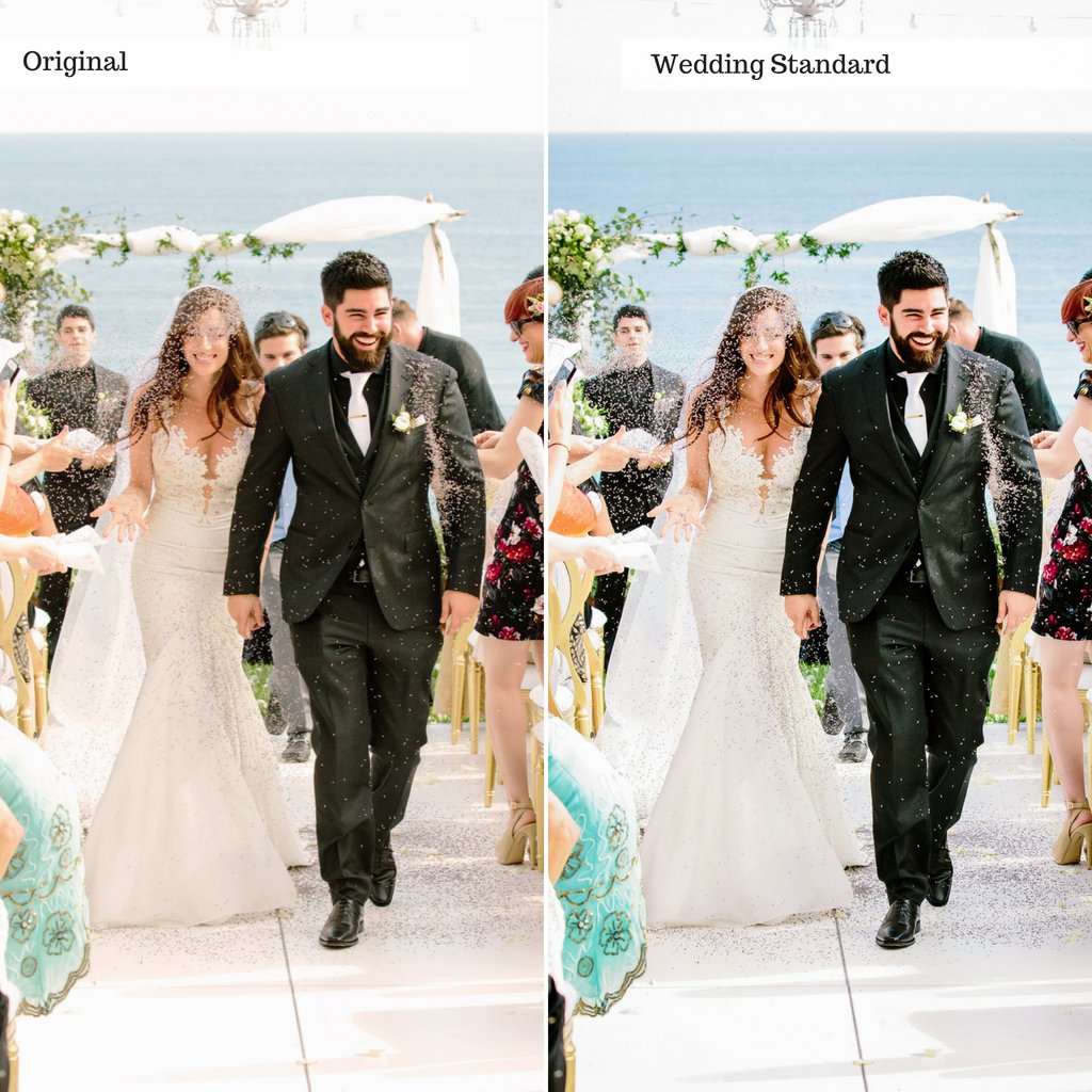 Portraits and Weddings Preset Bundle (19 collections) for Lightroom & Photoshop