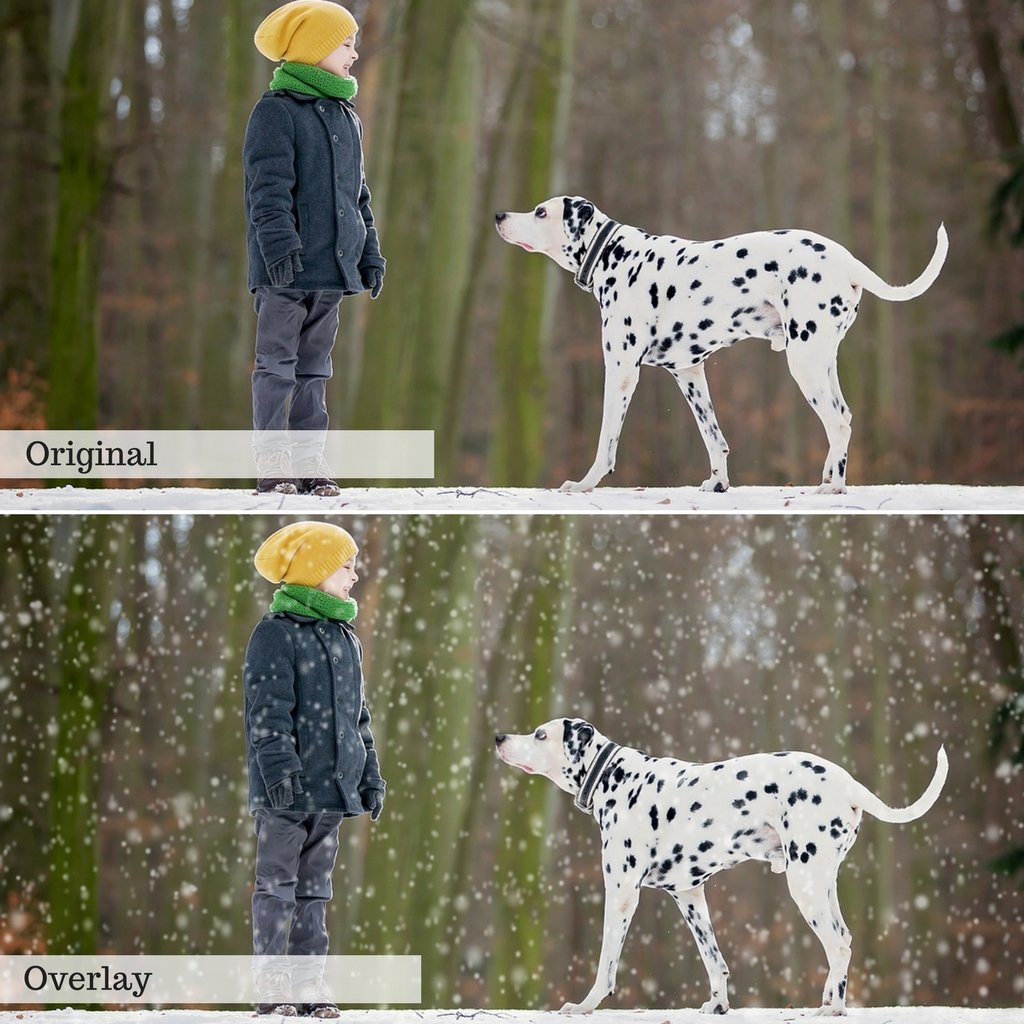 Snow Overlays – Photoshop & More