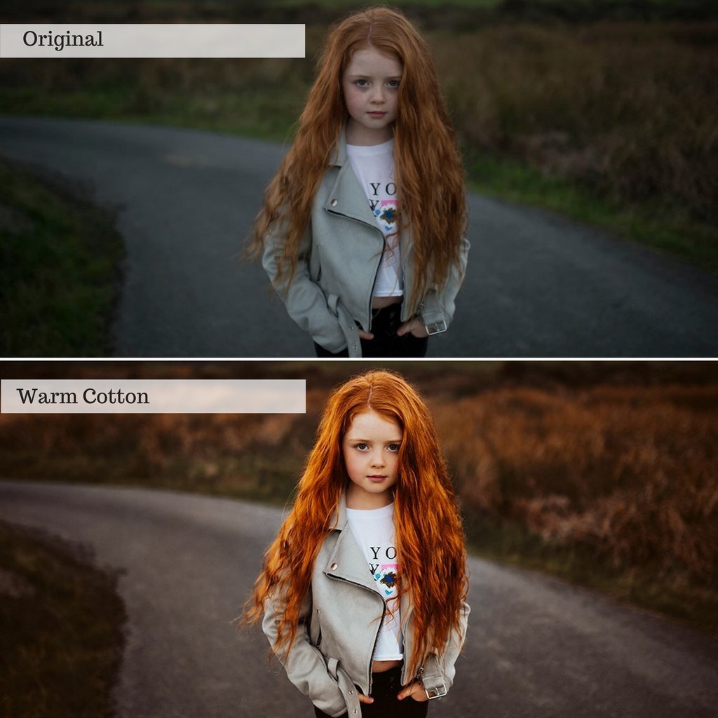 2025 Everything, Entire Store Lightroom Preset Bundle (108 Collections!)