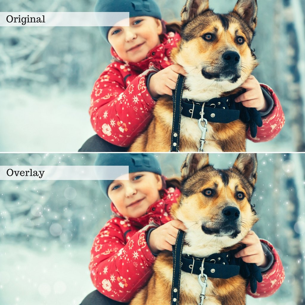 Luxe Overlays Bundle (18 collections)