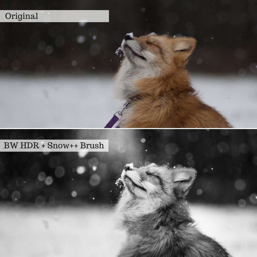 Luxe Preset Bundle (38 collections) for Lightroom & Photoshop – Desktop & Mobile