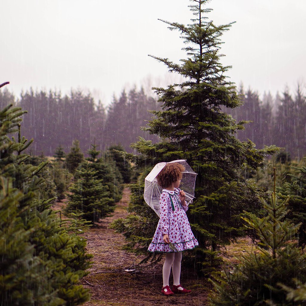 Rain & Rainbow Overlays – Photoshop & More