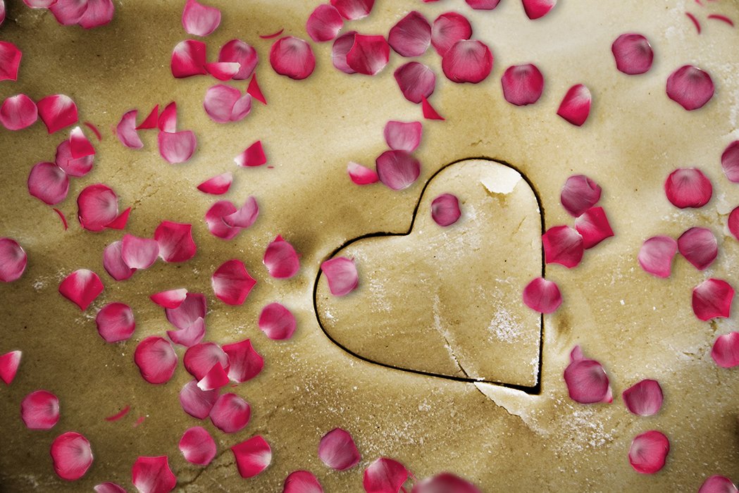 Falling Rose Petals Overlays – Photoshop & More