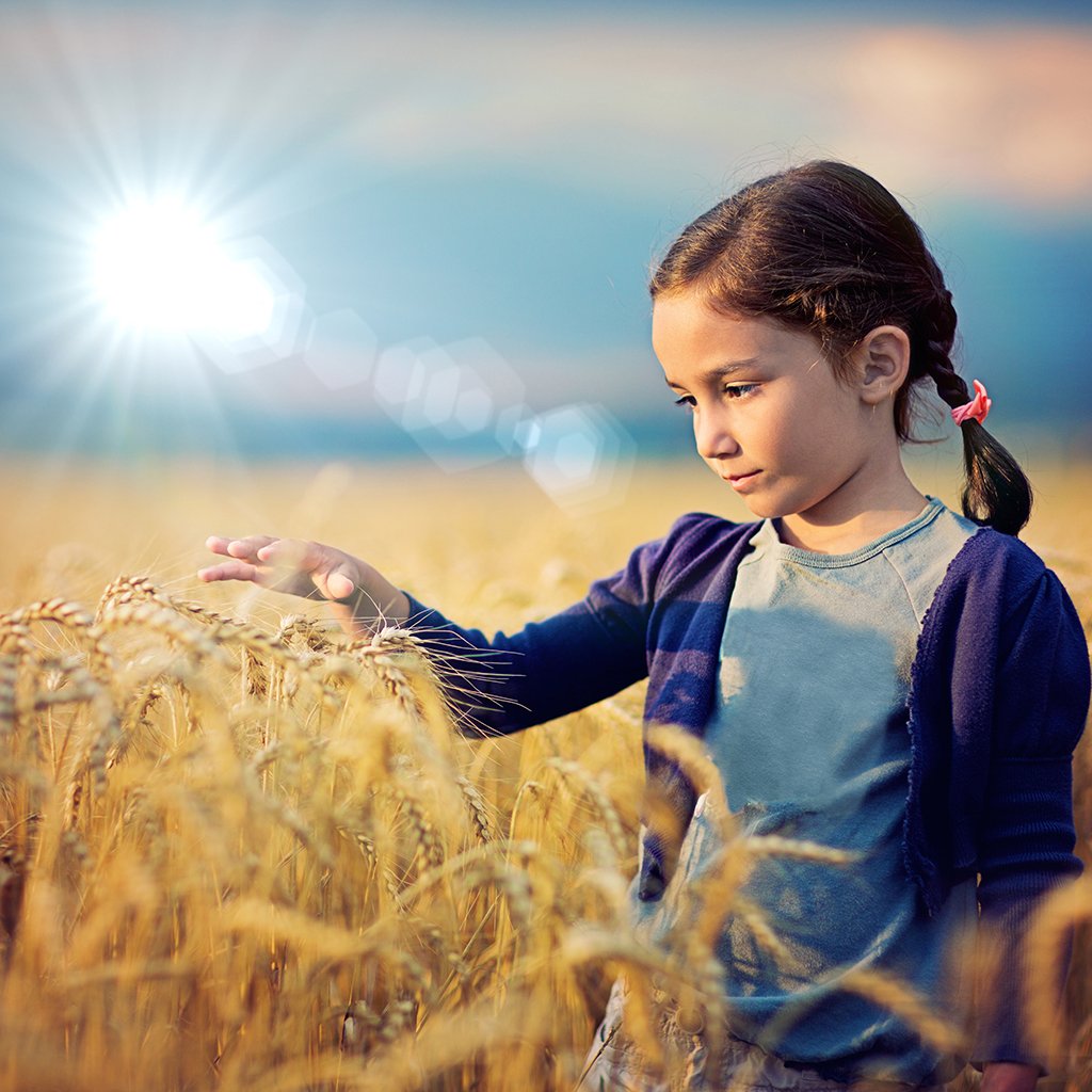 Lens Flares & Light Leaks Overlays – Photoshop & More