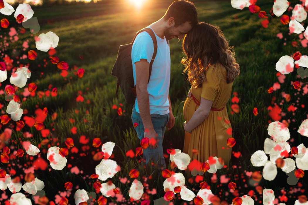 Falling Rose Petals Overlays – Photoshop & More