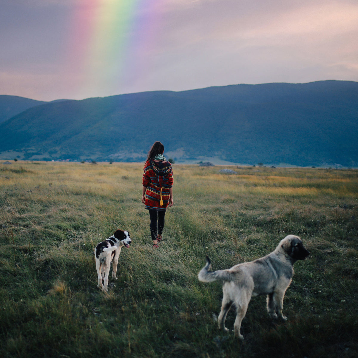 Rain & Rainbow Overlays – Photoshop & More