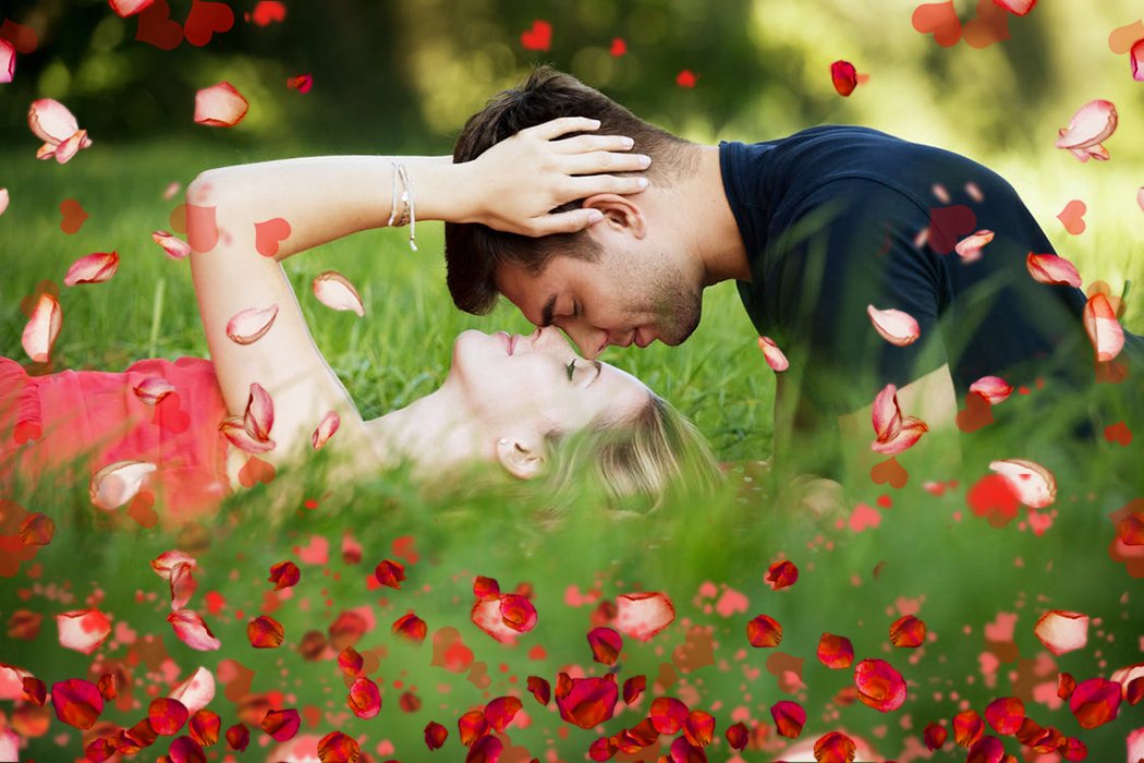 Falling Rose Petals Overlays – Photoshop & More
