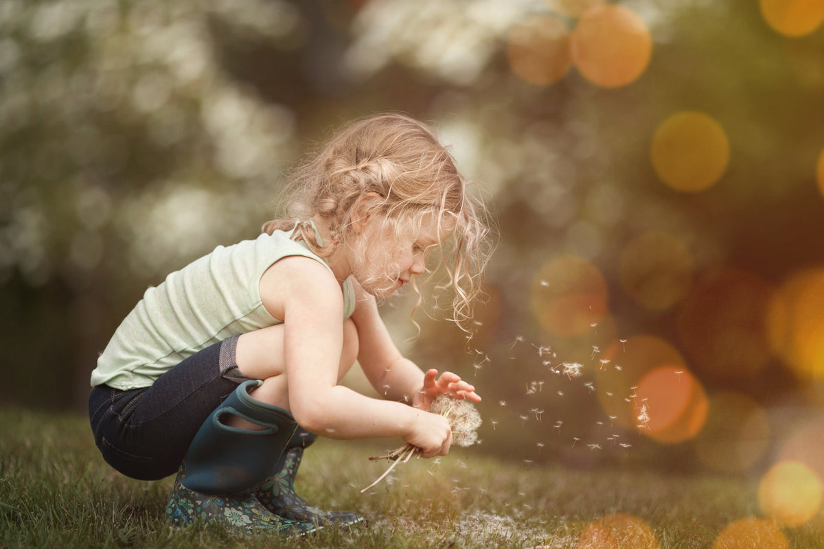 Bokeh Overlays – Photoshop & More