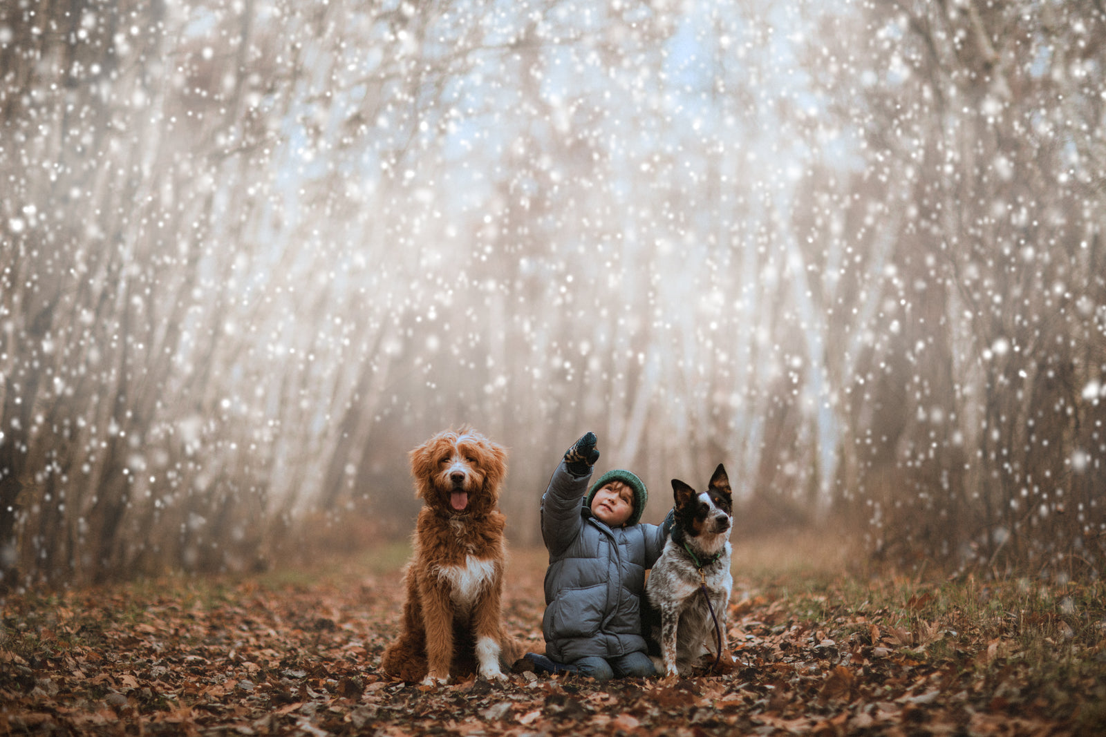 Making Magic with Overlays! – Winter Edition